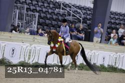 25R13_04781 thumbnail