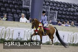 25R13_04782 thumbnail