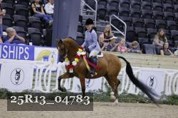 25R13_04783 thumbnail