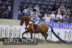 25R13_04785 thumbnail
