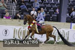 25R13_04786 thumbnail