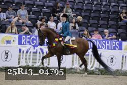 25R13_04795 thumbnail