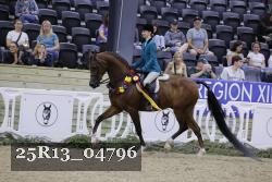 25R13_04796 thumbnail