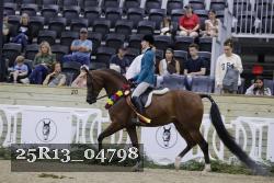 25R13_04798 thumbnail