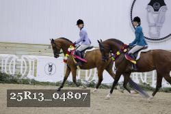 25R13_04807 thumbnail