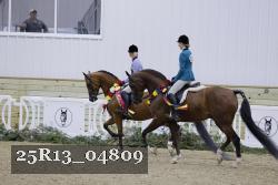 25R13_04809 thumbnail