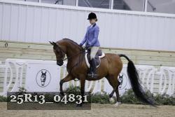 25R13_04831 thumbnail