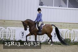25R13_04832 thumbnail