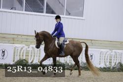 25R13_04833 thumbnail