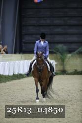 25R13_04850 thumbnail