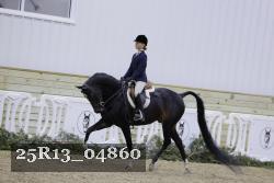 25R13_04860 thumbnail