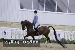 25R13_04866 thumbnail