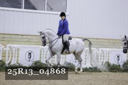 25R13_04868 thumbnail