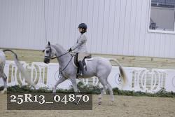 25R13_04870 thumbnail