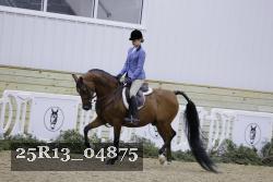 25R13_04875 thumbnail