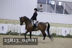 25R13_04881 thumbnail