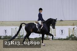 25R13_04890 thumbnail