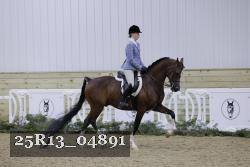 25R13_04891 thumbnail