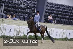 25R13_04922 thumbnail