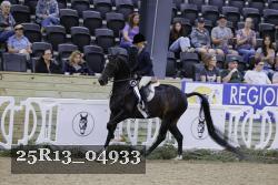 25R13_04933 thumbnail