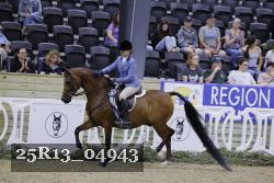 25R13_04943 thumbnail