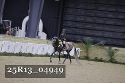 25R13_04949 thumbnail