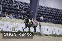 25R13_04950 thumbnail