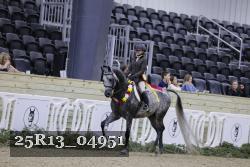 25R13_04951 thumbnail