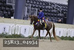 25R13_04954 thumbnail