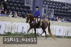 25R13_04955 thumbnail
