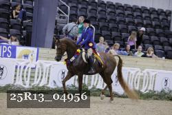 25R13_04956 thumbnail
