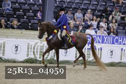 25R13_04959 thumbnail