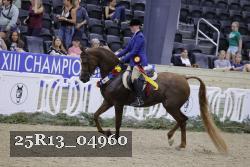 25R13_04960 thumbnail