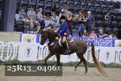 25R13_04961 thumbnail