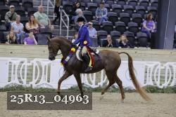 25R13_04963 thumbnail