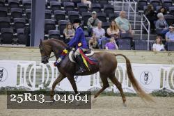 25R13_04964 thumbnail