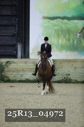 25R13_04972 thumbnail