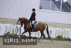 25R13_04981 thumbnail