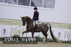 25R13_04986 thumbnail