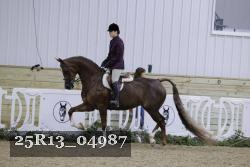 25R13_04987 thumbnail