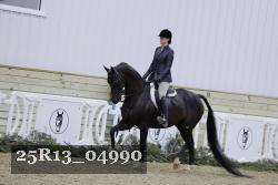 25R13_04990 thumbnail