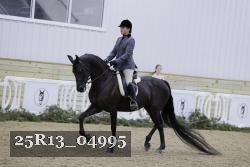 25R13_04995 thumbnail