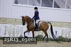 25R13_05001 thumbnail