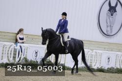 25R13_05003 thumbnail