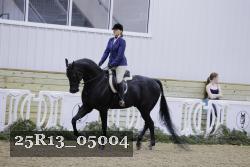 25R13_05004 thumbnail