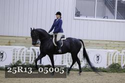 25R13_05005 thumbnail