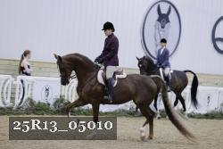 25R13_05010 thumbnail