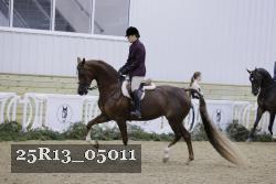 25R13_05011 thumbnail
