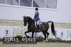 25R13_05013 thumbnail