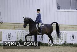 25R13_05014 thumbnail